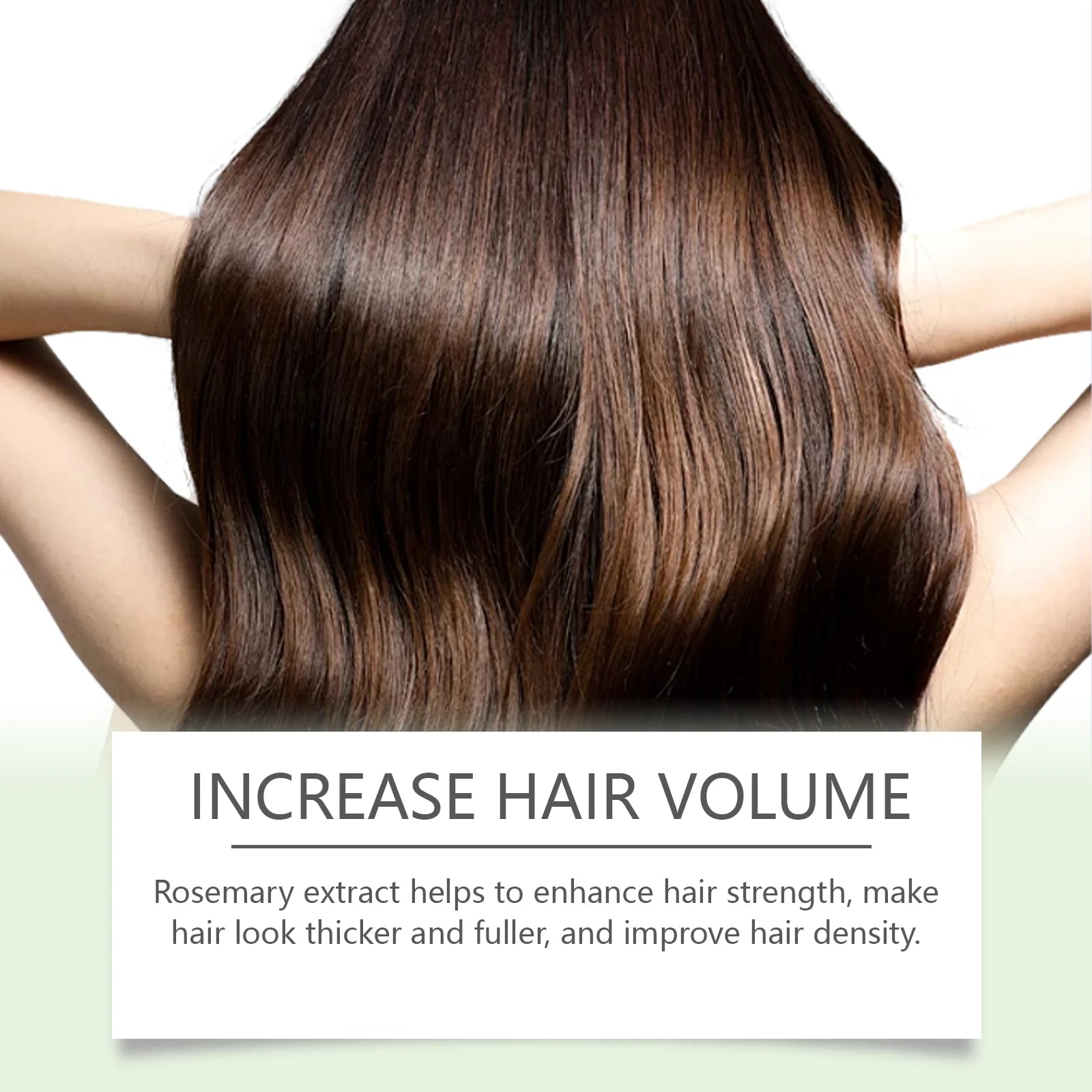 Rosemary Hair Growth Serum – Fast Hair Loss Solution