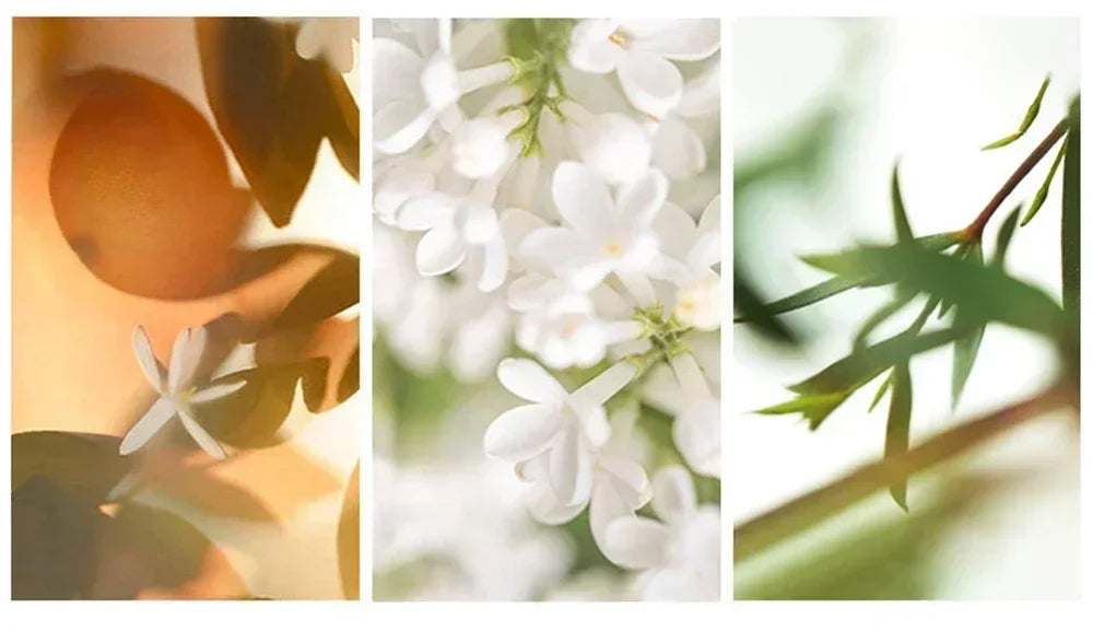 Men’s Cologne Gift Set (3pcs)