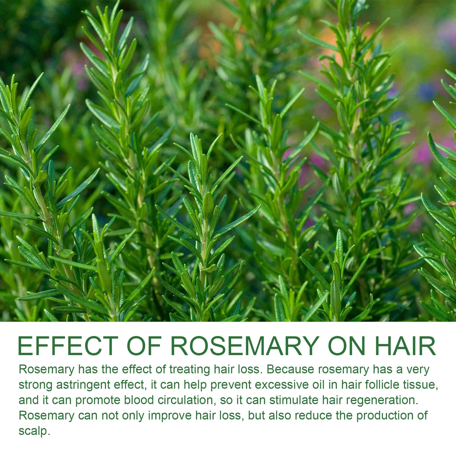 Rosemary Anti-Hair Loss Strengthening Shampoo